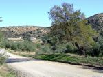 11.26. 52. Camino de La Milana y Navasequilla. Priego de Córdoba.