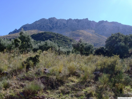 11.26. 73. Camino de La Milana y Navasequilla. Priego de Córdoba.