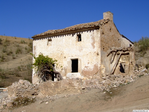 11.32.18. La Carrasca. Priego de Córdoba.