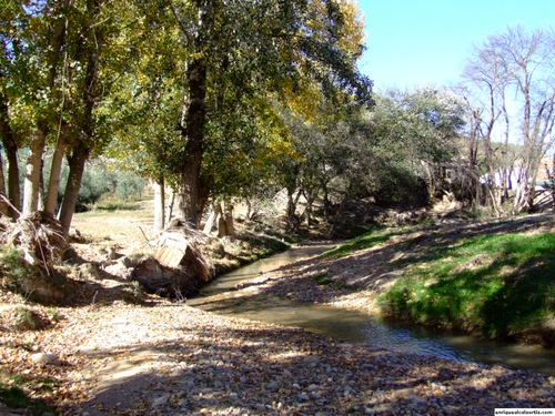 11.32.57. La Carrasca. Priego de Córdoba.