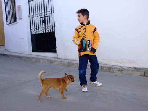 27.02.073. San Antón. Castil de Campos. Priego, enero 2008.