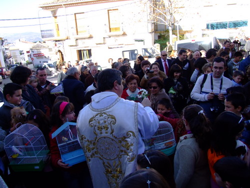 27.02.097. San Antón. Castil de Campos. Priego, enero 2008..JPG