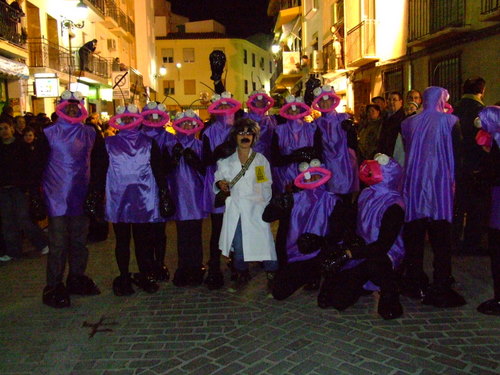 18.10.06.050. Desfile de Carnaval, 2008.