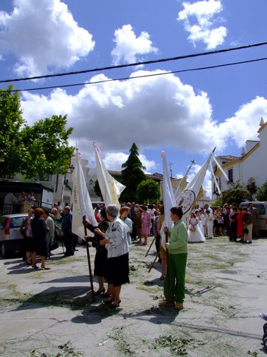 27.13.021. Castil de Campos. Corpus, 2008.