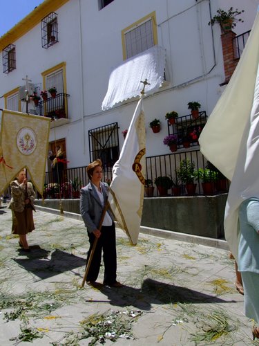 27.13.033. Castil de Campos. Corpus, 2008.