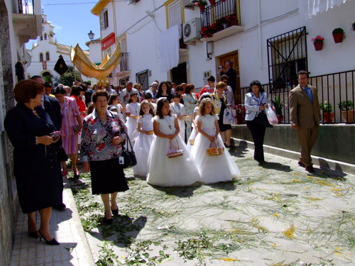 27.13.035. Castil de Campos. Corpus, 2008.