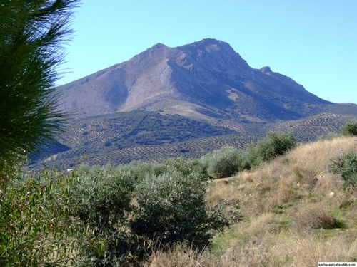 11.27.015. La Almorzara. Priego de Córdoba.