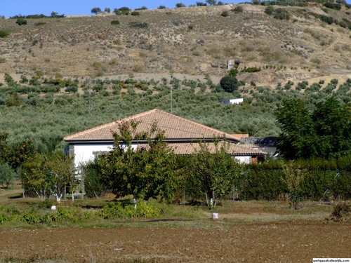 11.27.085. La Almorzara. Priego de Córdoba.