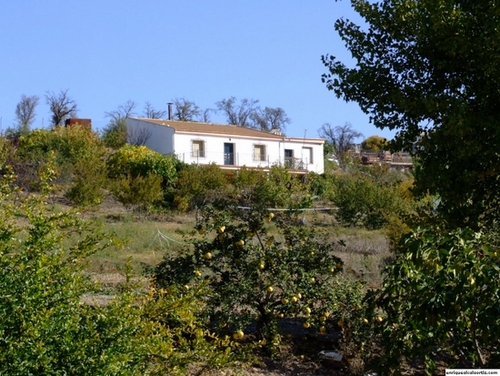 11.29.26.  Haza de la Villa, La Puente Nueva, hasta El Campillo. Priego de Córdoba.