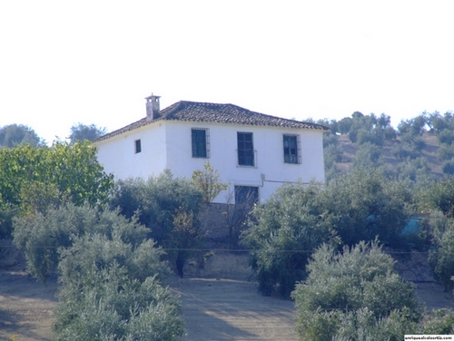 11.29.55.  Haza de la Villa, La Puente Nueva, hasta El Campillo. Priego de Córdoba.