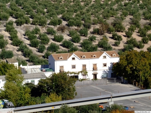 11.30.017. Llano de las Sardinas, Camino de Quiroga y el Cerrillo. Priego.