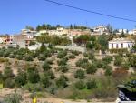 11.30.043. Llano de las Sardinas, Camino de Quiroga y el Cerrillo. Priego.