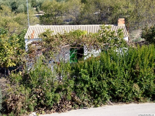 11.30.044. Llano de las Sardinas, Camino de Quiroga y el Cerrillo. Priego.