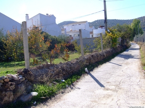 11.30.049. Llano de las Sardinas, Camino de Quiroga y el Cerrillo. Priego.