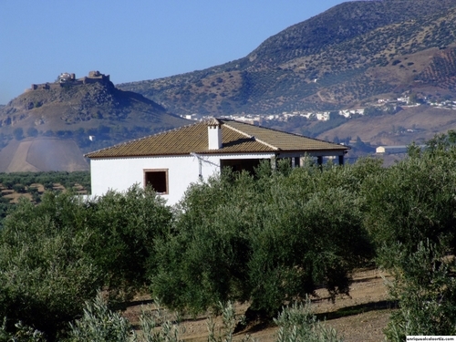 11.30.113. Llano de las Sardinas, Camino de Quiroga y el Cerrillo. Priego.