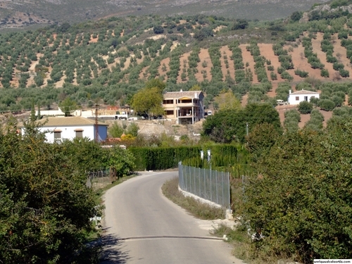 11.30.121. Llano de las Sardinas, Camino de Quiroga y el Cerrillo. Priego.