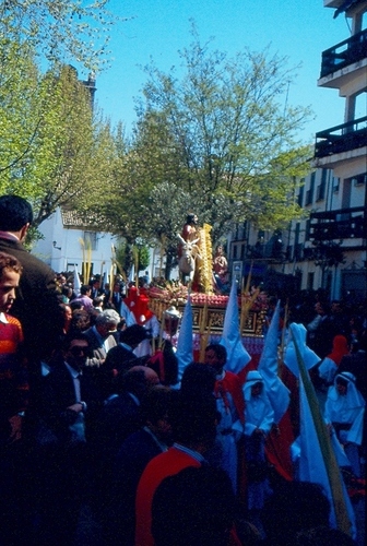 0350.120492. Domingo de Ramos. La Pollinica.