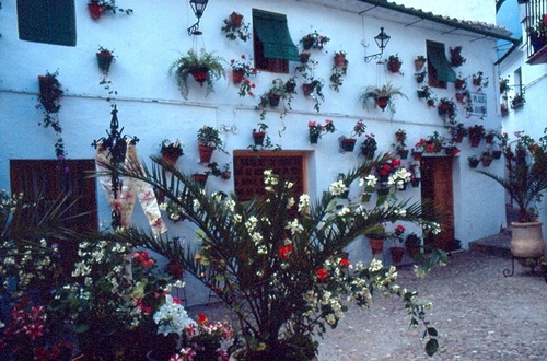 0628.030592. Cruces de Mayo.