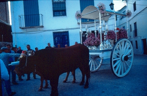 0813.030692. Salida para el Rocío.