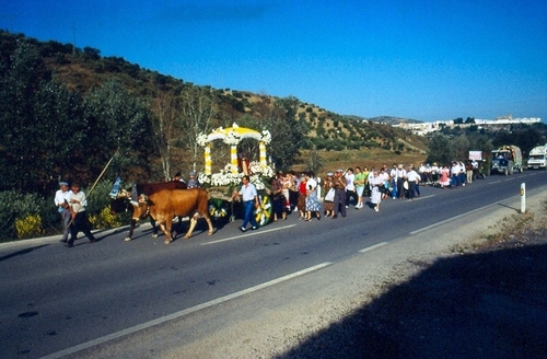 0950.280692. XVI Romería Virgen de la Cabeza.