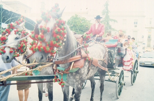 1140.080892. Carroza de caballos en el Paseíllo.