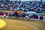 1141.080892. Corrida del Centenario.