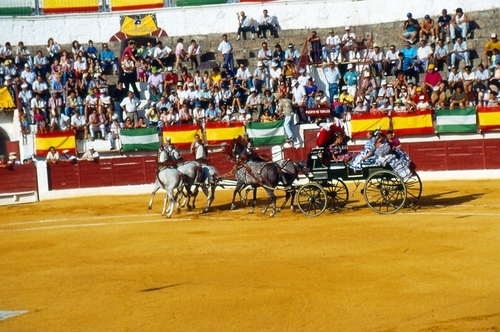 1142.080892. Corrida del Centenario.