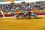 1142.080892. Corrida del Centenario.