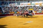 1143.080892. Corrida del Centenario.