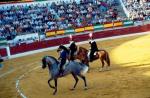 1144.080892. Corrida del Centenario.