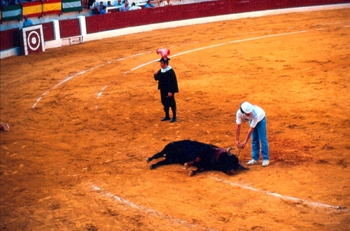 1153.080892. Corrida del Centenario.