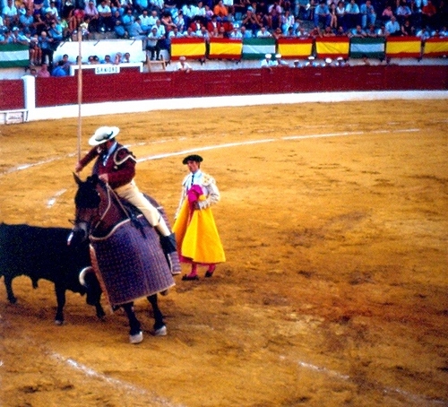 1155.080892. Corrida del Centenario.