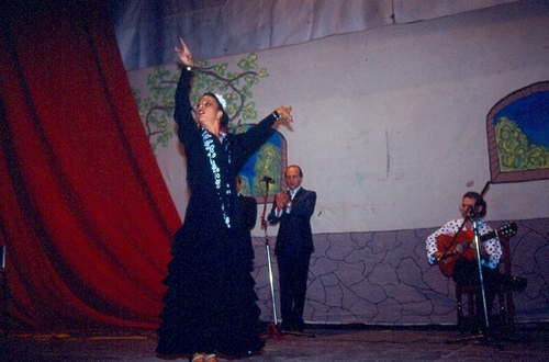 1246.280892. XV Festival Flamenco. Ana Rodríguez.