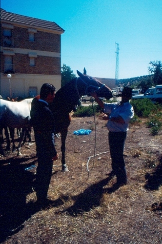 1313.020992. Paco Aguilera en la feria de ganado.