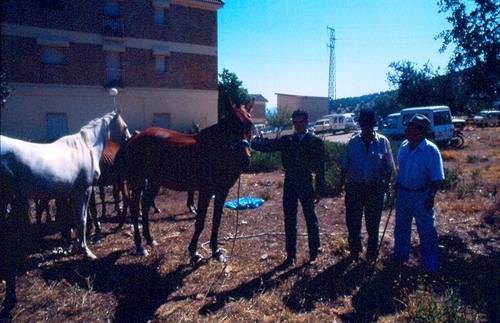 1312.020992. Paco Aguilera en la feria de ganado.