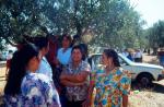 1319.020992. Gitanos en la Feria de ganado.