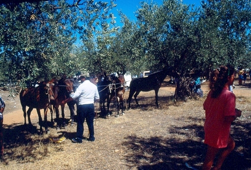 1323.020992. Feria de ganado.