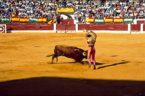 1354.030952. Corrida de Feria. Víctor Mendes