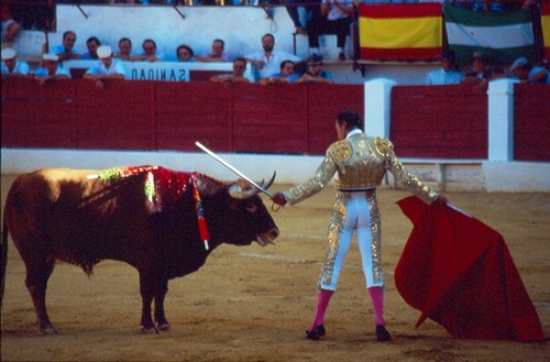 1357.030952. Corrida de Feria. Morenito de Maracay.