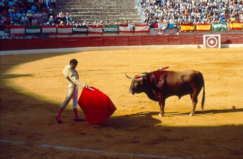 1356.030952. Corrida de Feria. Morenito de Maracay.