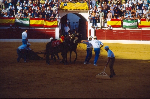 1375.030992. Corrida de Feria.