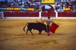 1381.030992. Vicente Ruiz, el Soro.