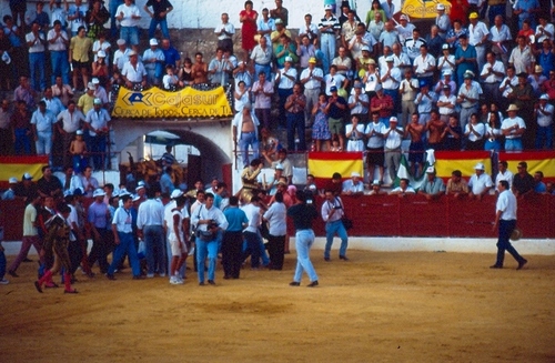 1382.030992. Vicente Ruiz, el Soro.