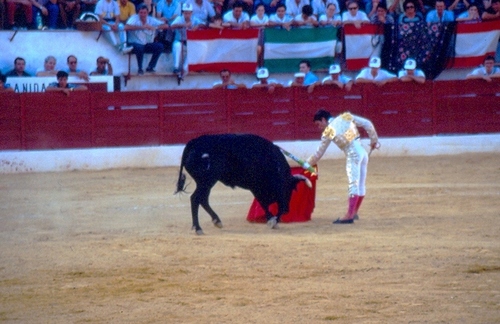 1446.050992. Paco Aguilera en la novillada.