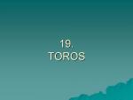 14.19. TOROS