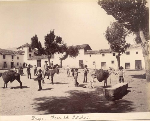 02.03.03.01. Plaza del Reñidero. Hoy Paseo de Colombia. (Foto deGarcía Ayola hacia 1884).