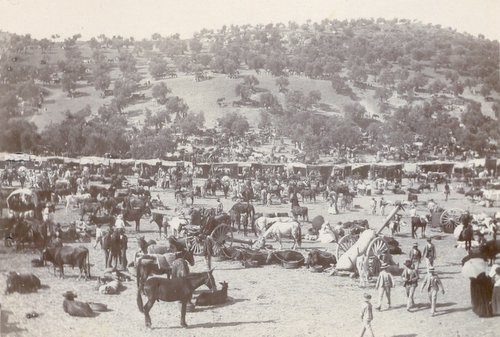 02.07.01. Feria de ganado instalada en la Haza de la Luna en las primeras décadas del siglo XX.