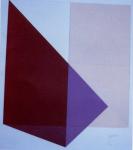 19.01.02.09. Cristóbal Povedano. Soledad diagonal  III. Óleo, papel, 70 x 50 cms.