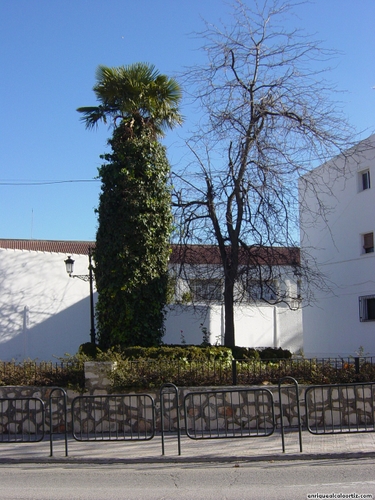 25.13.035. Ramón y Cajal y Barrio de la Inmaculada. Priego. 2007.