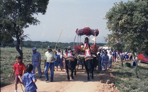 1989. XIII Romería Virgen de la Cabeza. 18 junio 1989. Arroyo Luna.